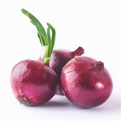 Onion Oleoresin concentrated savory flavor extract