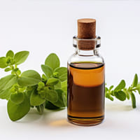 Marjoram Essential Oil Bulk Supplier - Teem Sciences