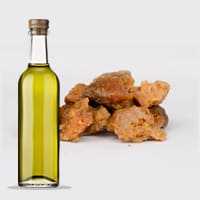 Hing Asafoetida Essential Oil B2B - Teem Sciences