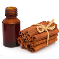 Pure Cinnamon Bark Essential Oil - Teem Sciences