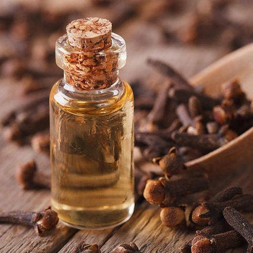 High Purity Clove Bud Essential Oil - Teem Sciences