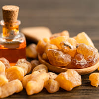 Olibanum Frankincense Oil Wholesale - Teem Sciences