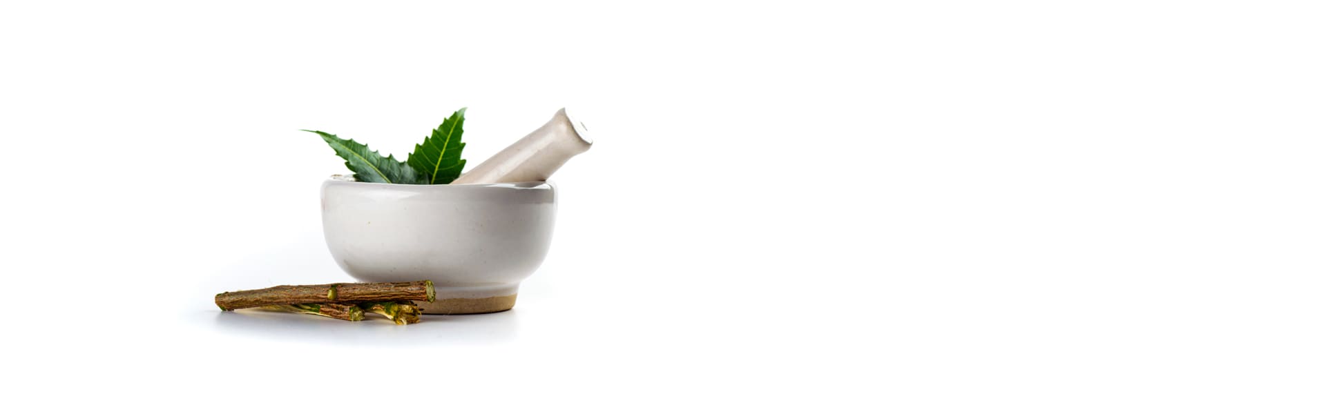 Teem Sciences quality botanical extract manufacturing process with mortar and pestle