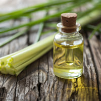 Pure Citronella Oil Wholesale Supply - Teem Sciences