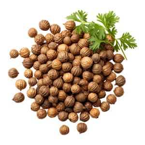 Coriander Oleoresin linalool rich seasoning extract