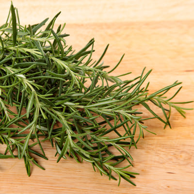 Rosemary Extract natural carnosic acid antioxidant