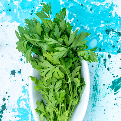 Celery Seed Oleoresin savory food flavor ingredient