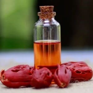 Mace Essential Oil Wholesale - Teem Sciences