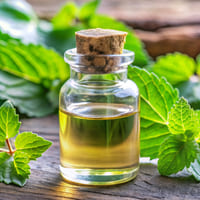 Pure Patchouli Oil Bulk Supplier - Teem Sciences