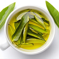 Curry Leaf Oil Pure Botanical Extract - Teem Sciences