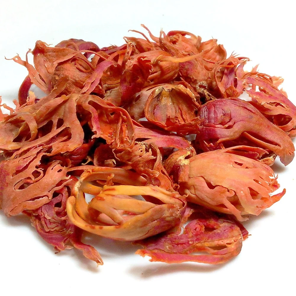 Mace Oleoresin delicate warm spice extract