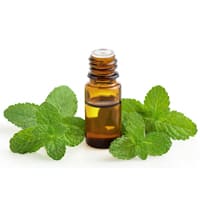 Spearmint Oil Botanical Extract - Teem Sciences