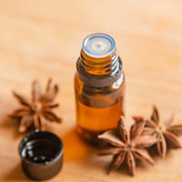 Pure Aniseed Oil Extract Bulk Supplier - Teem Sciences