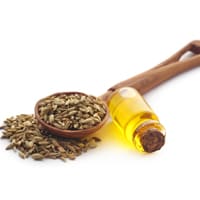 Fennel Oil Pure Botanical Extract - Teem Sciences