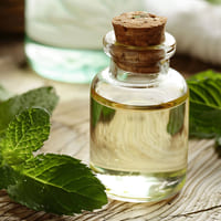 Peppermint Essential Oil Pure Natural - Teem Sciences