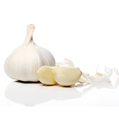 Garlic Extract allicin rich savory ingredient