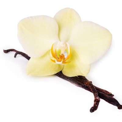 Vanilla Extract pure vanillin aromatic extract