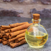 Pure Cassia Essential Oil Wholesale - Teem Sciences
