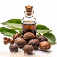 Nutmeg Essential Oil Pure Extract - Teem Sciences